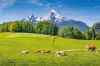 Foto: Landschaft in den Alpen